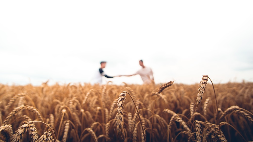Agriculture